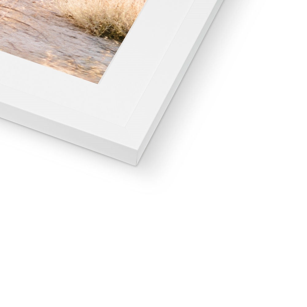 JOSHUA TREE Framed & Mounted Print
