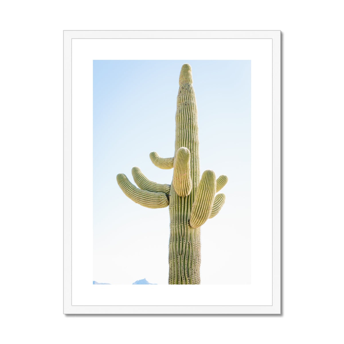 SAGUARO Framed & Mounted Print
