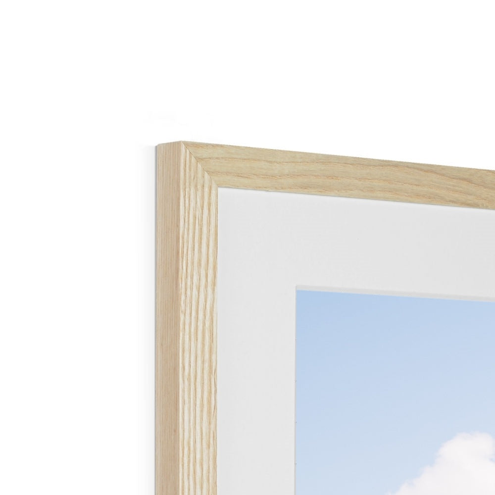 RESTING GIRAFFE Framed & Mounted Print