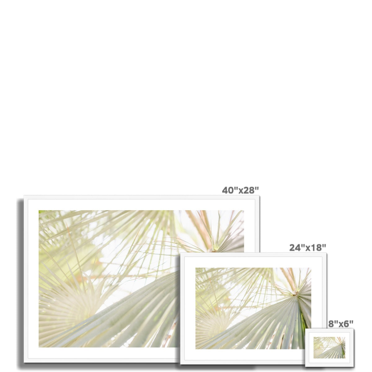CALI PALMS II Framed & Mounted Print