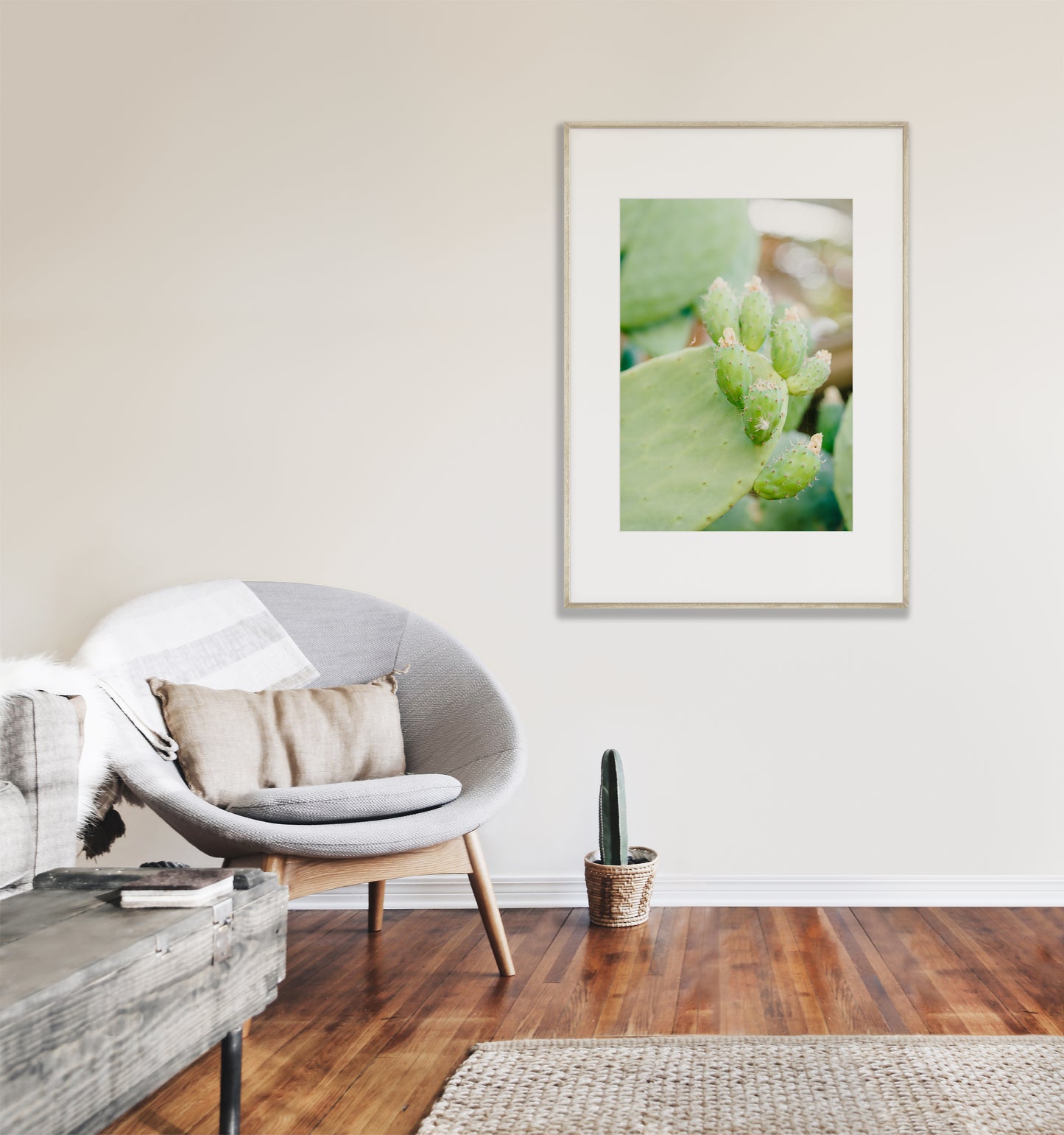 CACTUS II Framed & Mounted Print