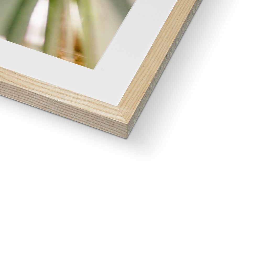 CALI PALMS II Framed & Mounted Print