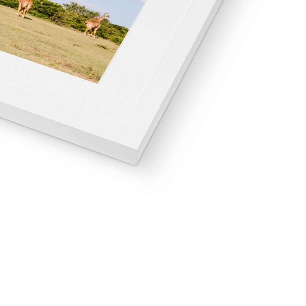 ROAMING GIRAFFES Framed & Mounted Print