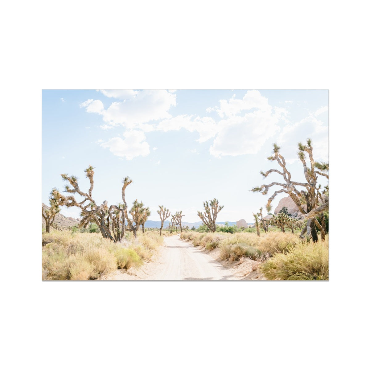JOSHUA TREE ROAD Fine Art Print