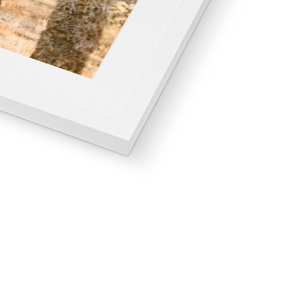 JOSHUA TREE IX Framed & Mounted Print