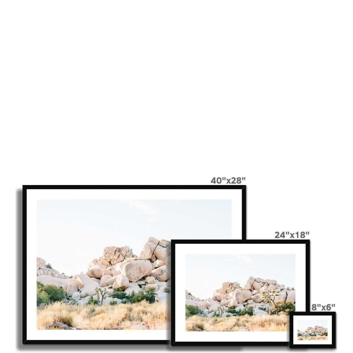 JOSHUA TREE X Framed & Mounted Print