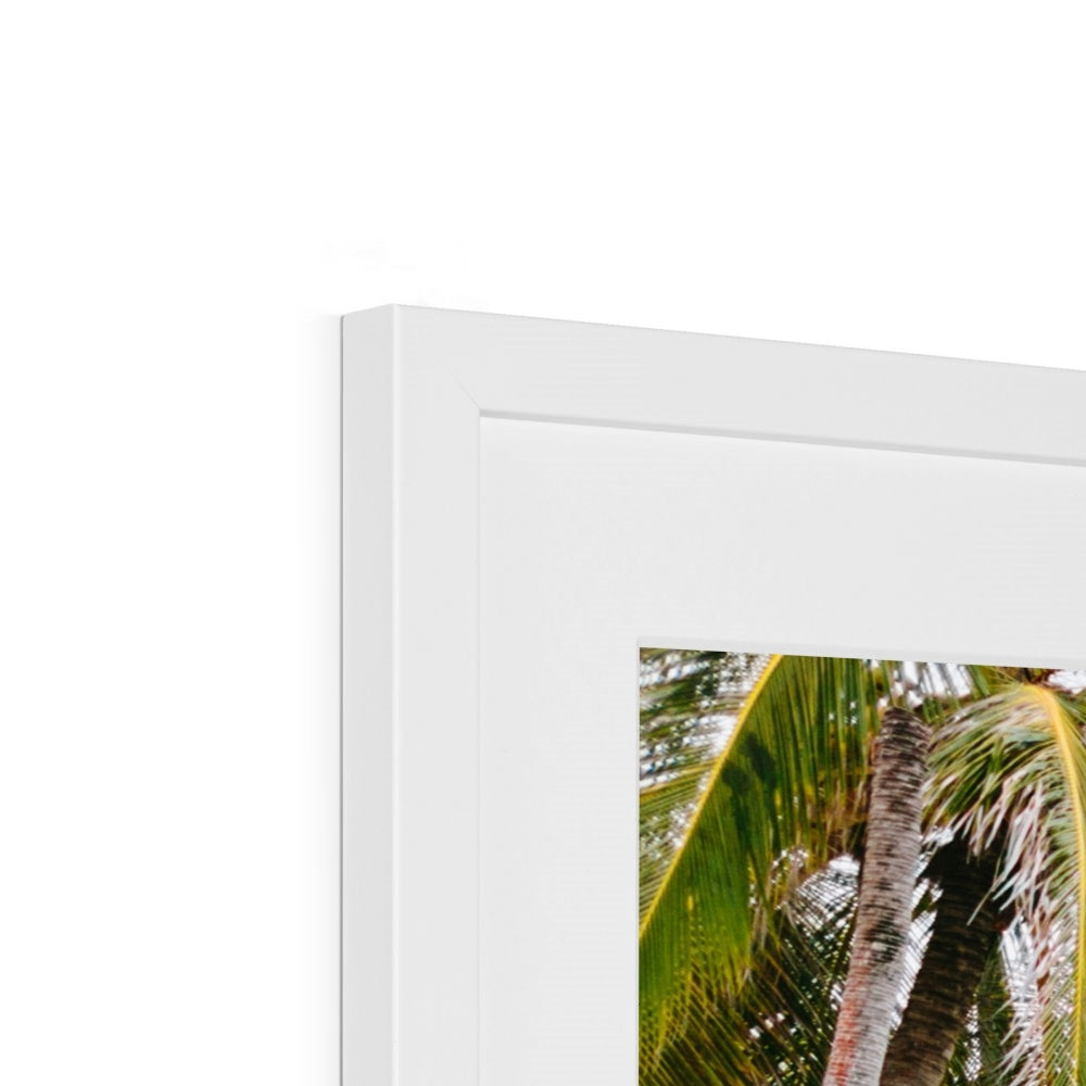 BENDING PALM Framed & Mounted Print