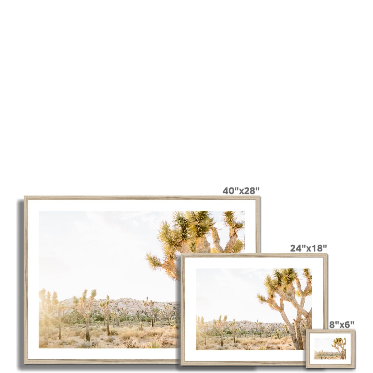 JOSHUA TREE IX Framed & Mounted Print