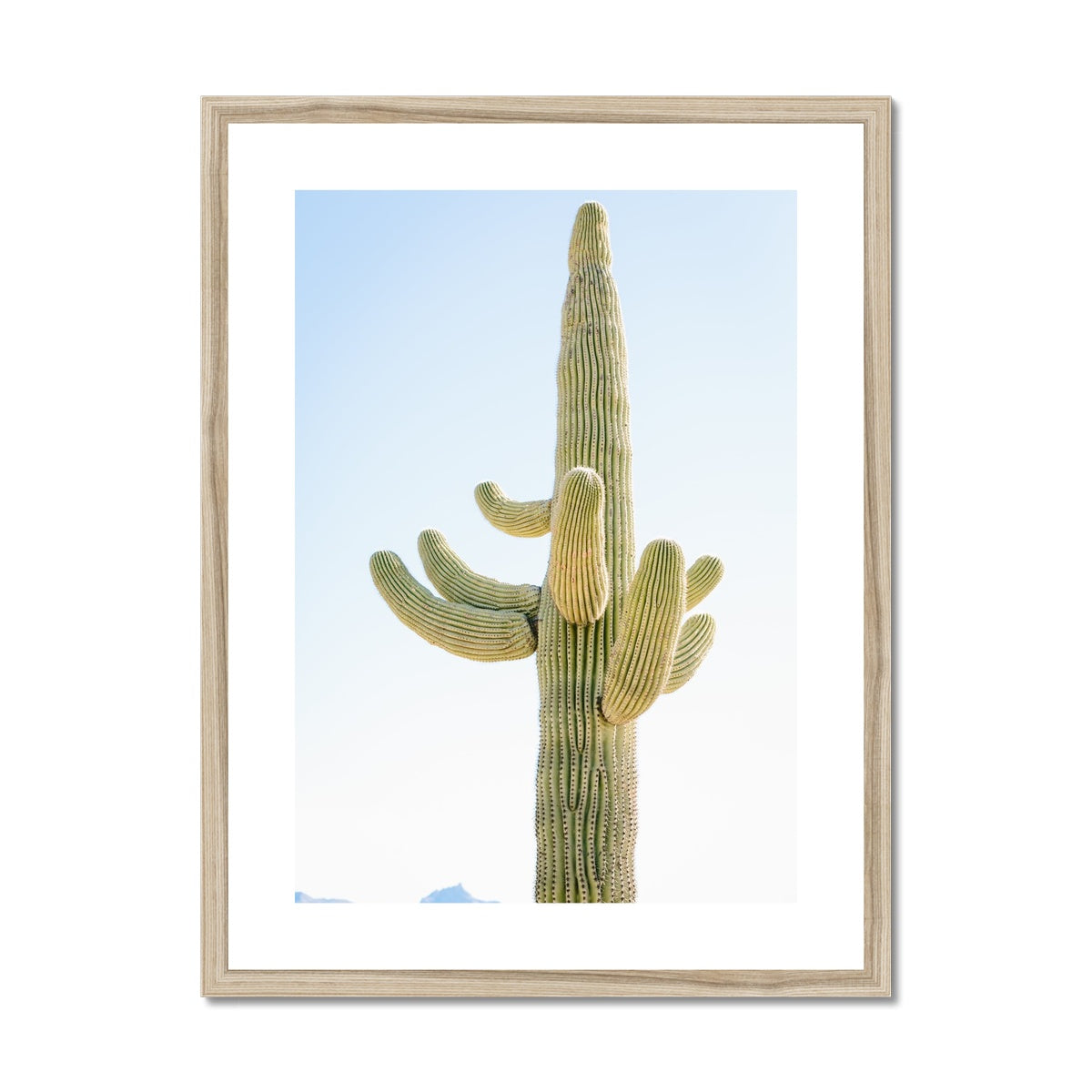 SAGUARO Framed & Mounted Print
