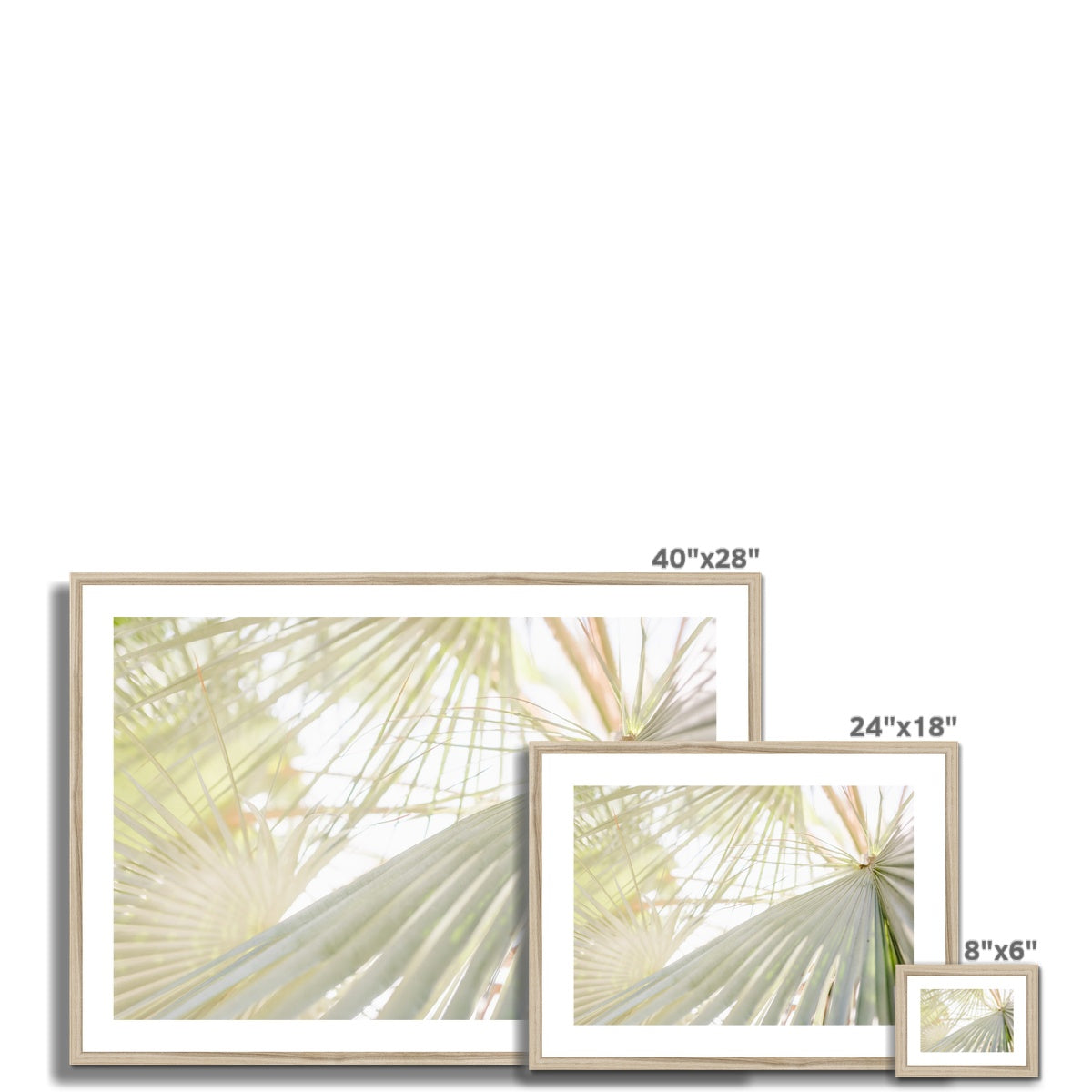 CALI PALMS II Framed & Mounted Print