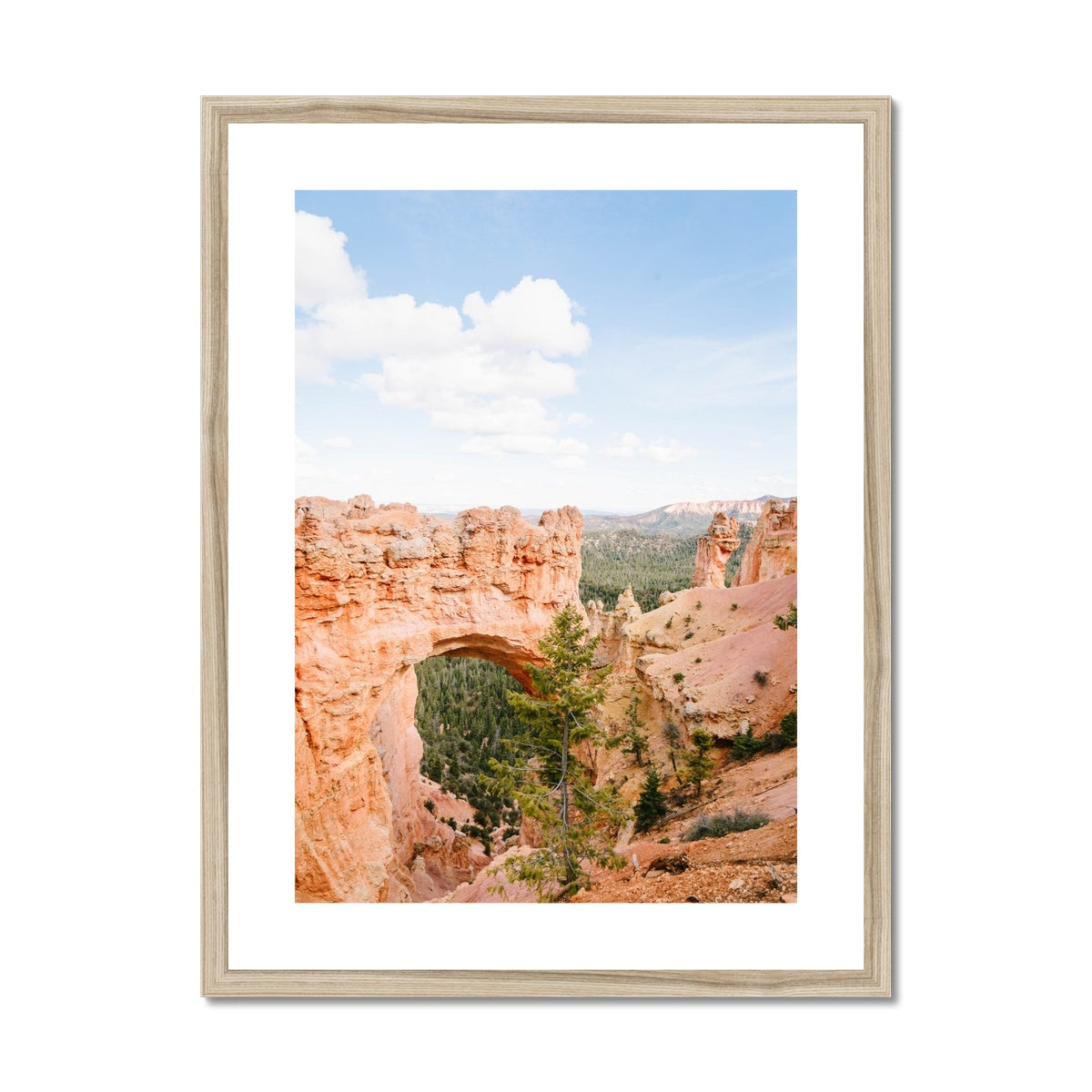 BRYCE CANYON NATURAL BRIDGE Framed & Mounted Print