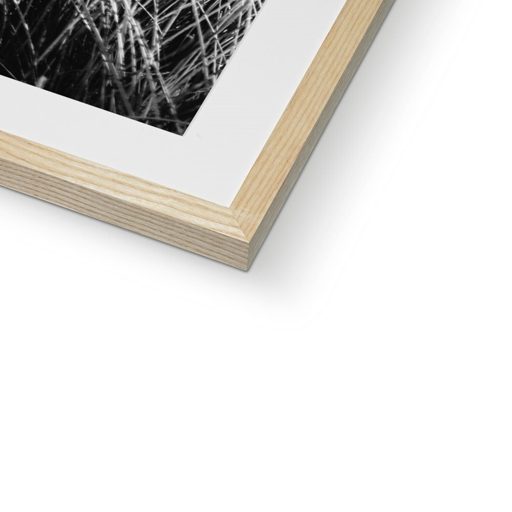 Sea Grass BW Framed & Mounted Print