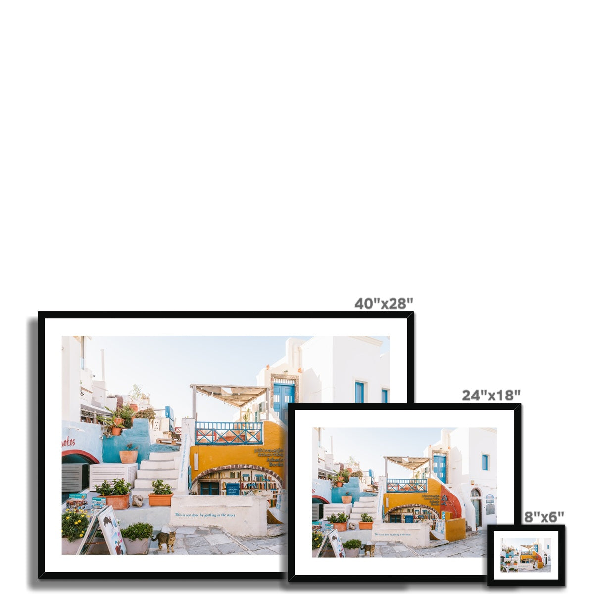 OIA BOOKSTORE Framed & Mounted Print