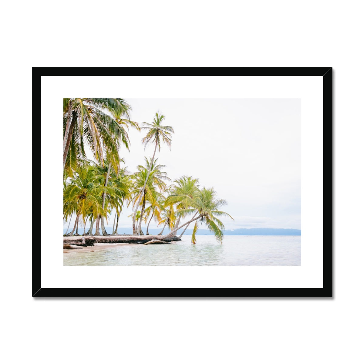BENDING PALM Framed & Mounted Print