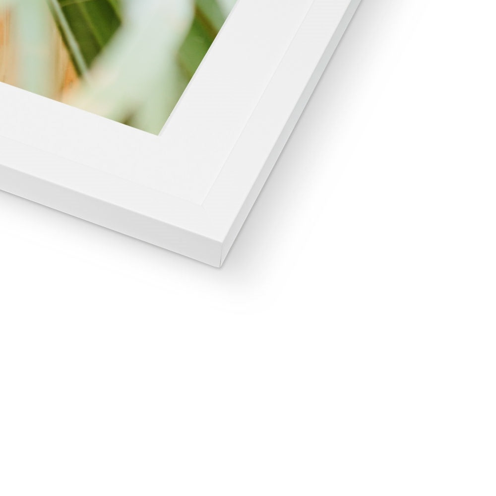 CALI PALMS Framed & Mounted Print