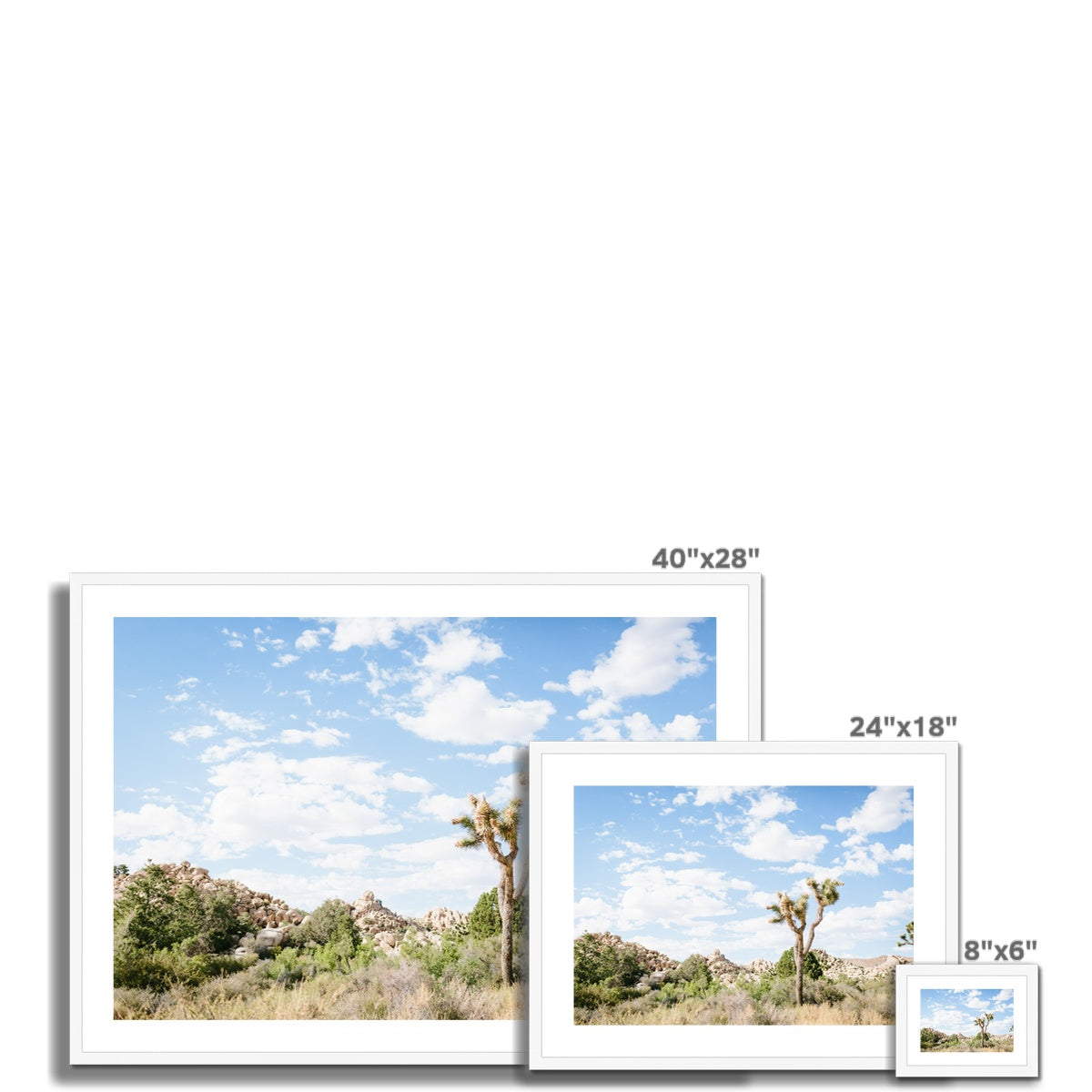 JOSHUA TREE IV Framed & Mounted Print
