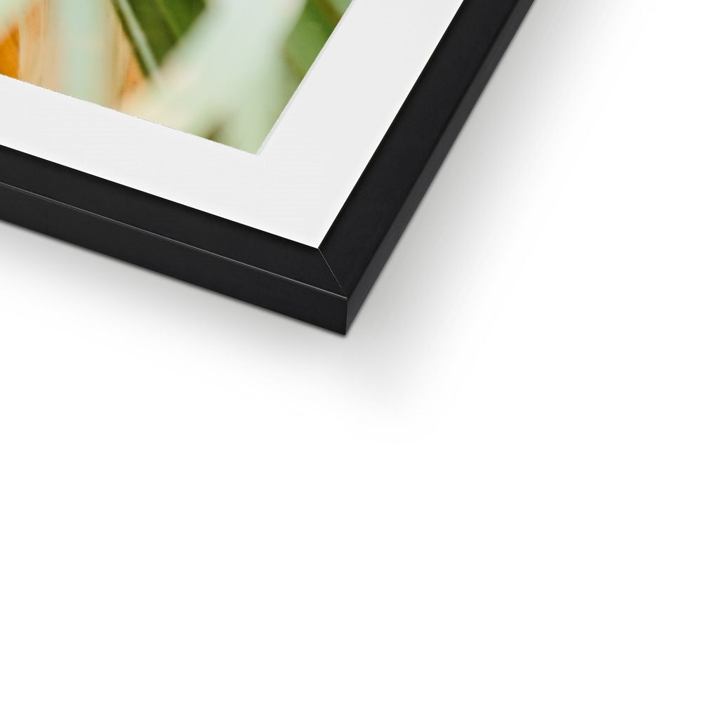 CALI PALMS Framed & Mounted Print