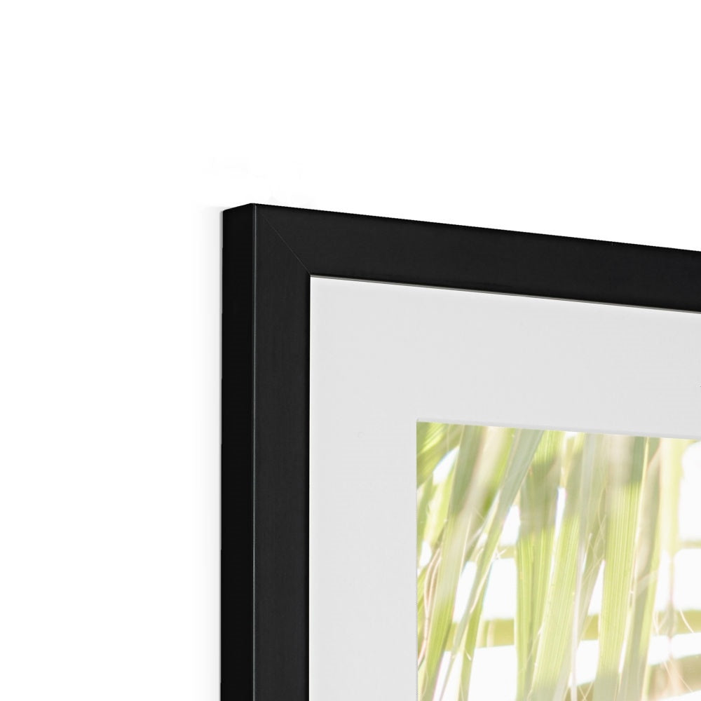 CALI PALMS Framed & Mounted Print