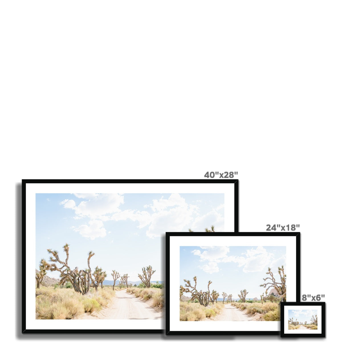JOSHUA TREE ROAD Framed & Mounted Print