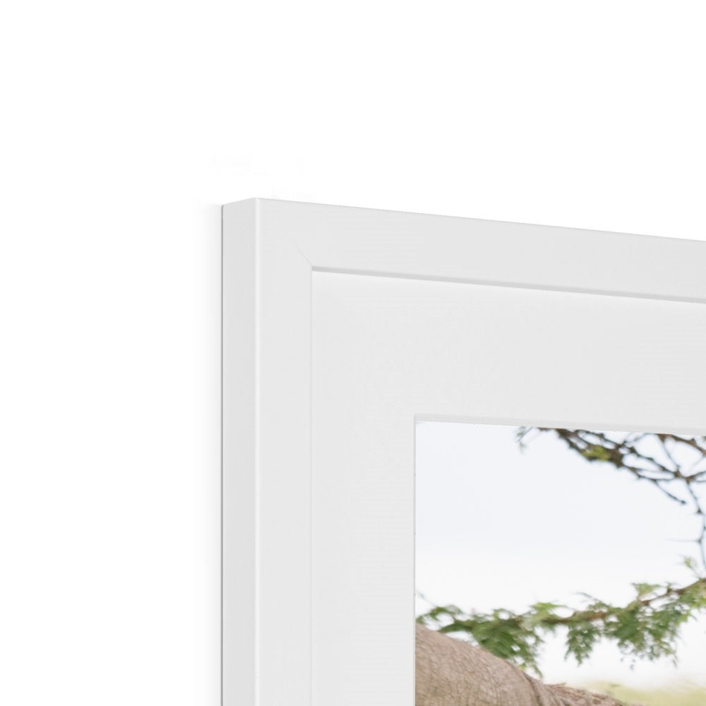BABY ELEPHANT Framed & Mounted Print