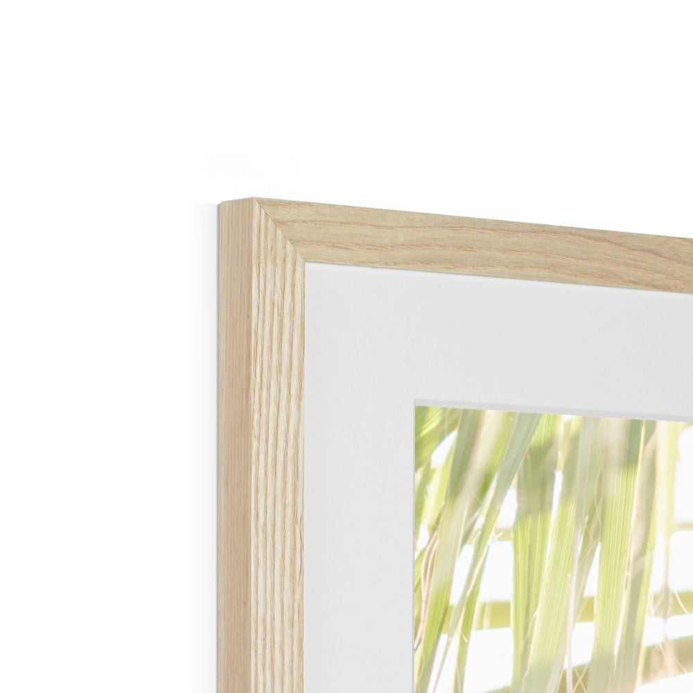 CALI PALMS Framed & Mounted Print