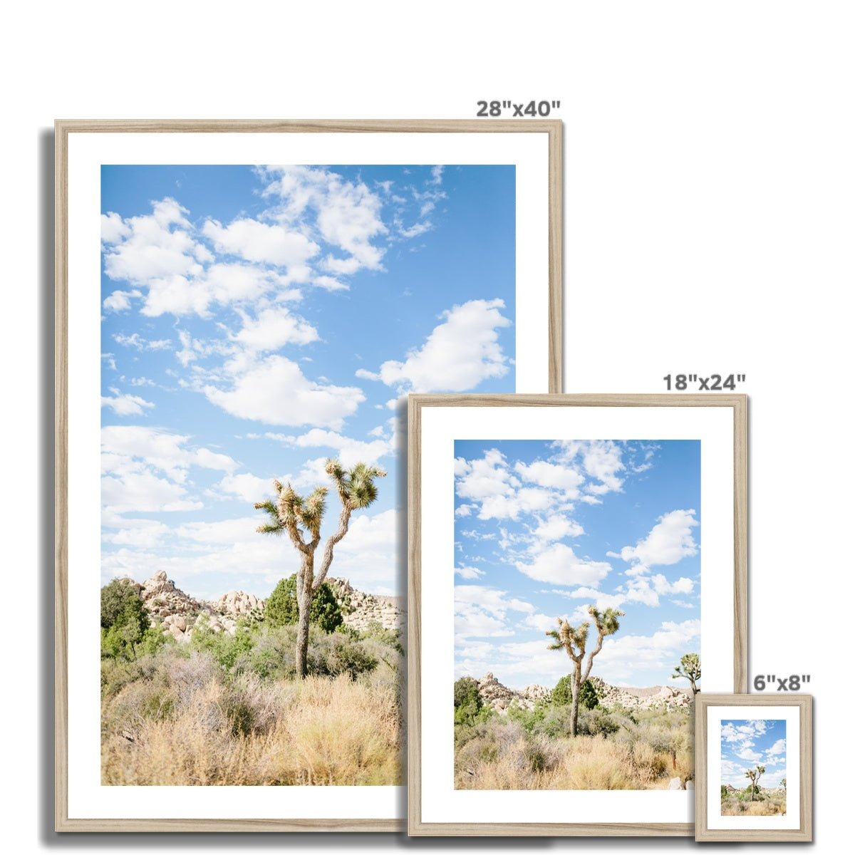 JOSHUA TREE III Framed & Mounted Print
