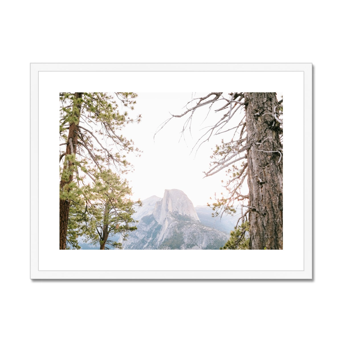 HALF DOME Framed & Mounted Print