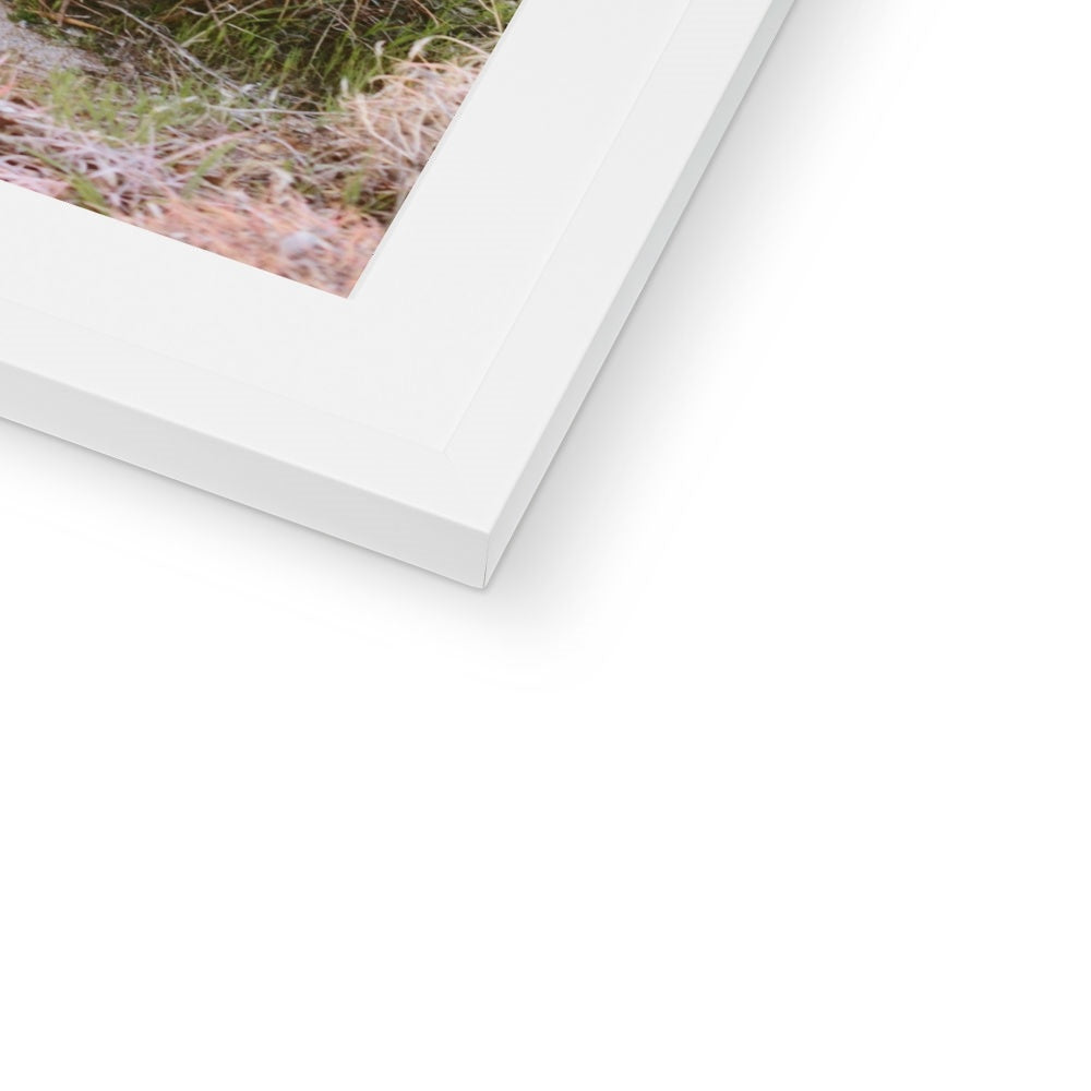 CACTUS III Framed & Mounted Print