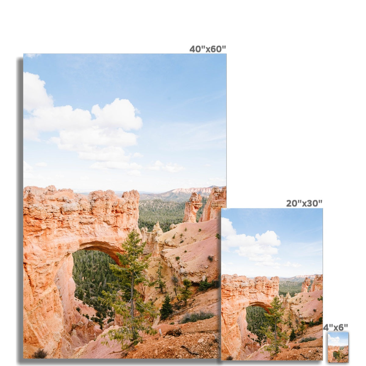 BRYCE CANYON NATURAL BRIDGE Fine Art Print