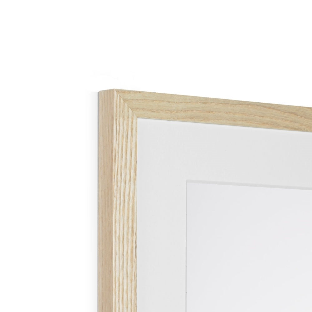JODHPUR Framed & Mounted Print