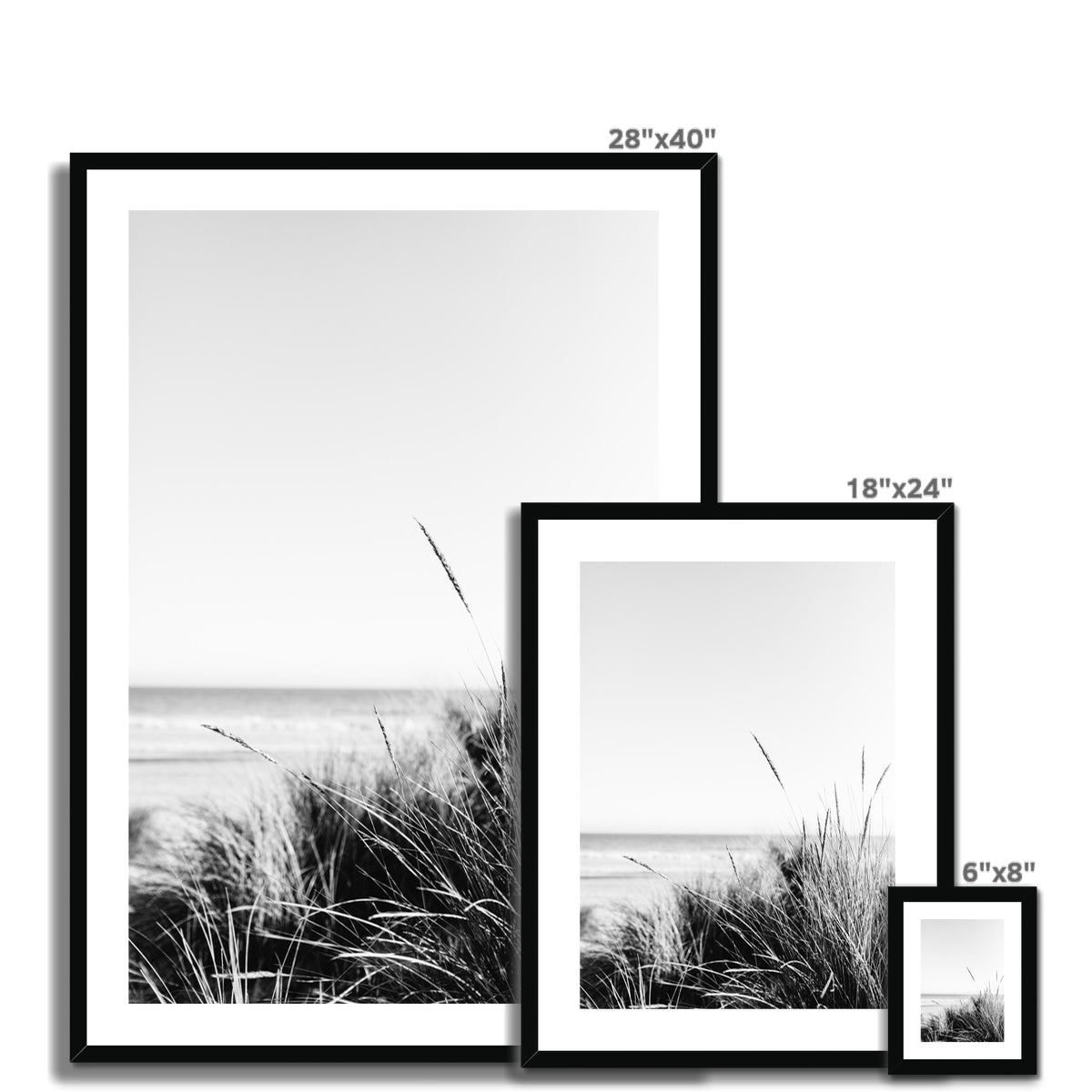 Sea Grass BW Framed & Mounted Print
