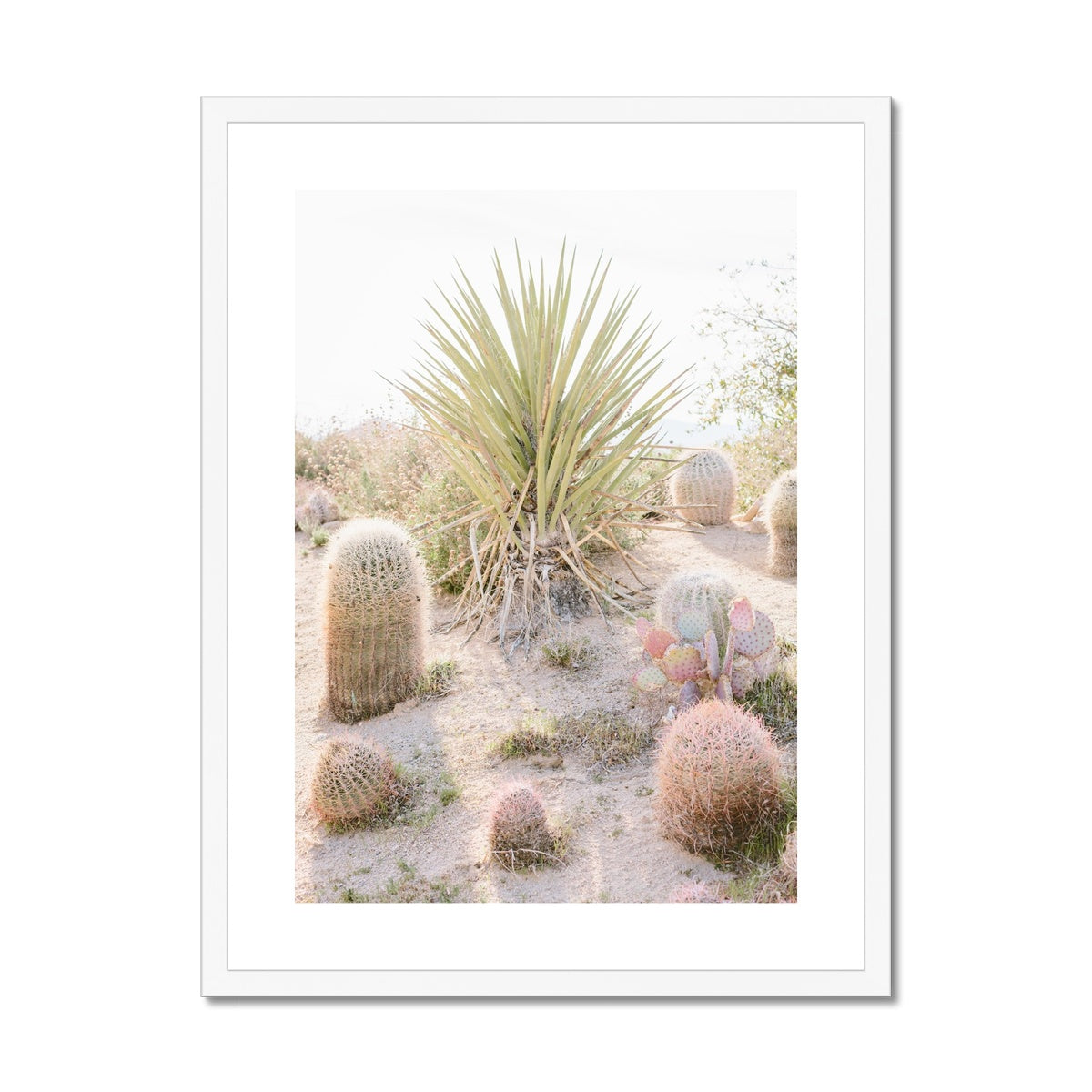CACTUS III Framed & Mounted Print