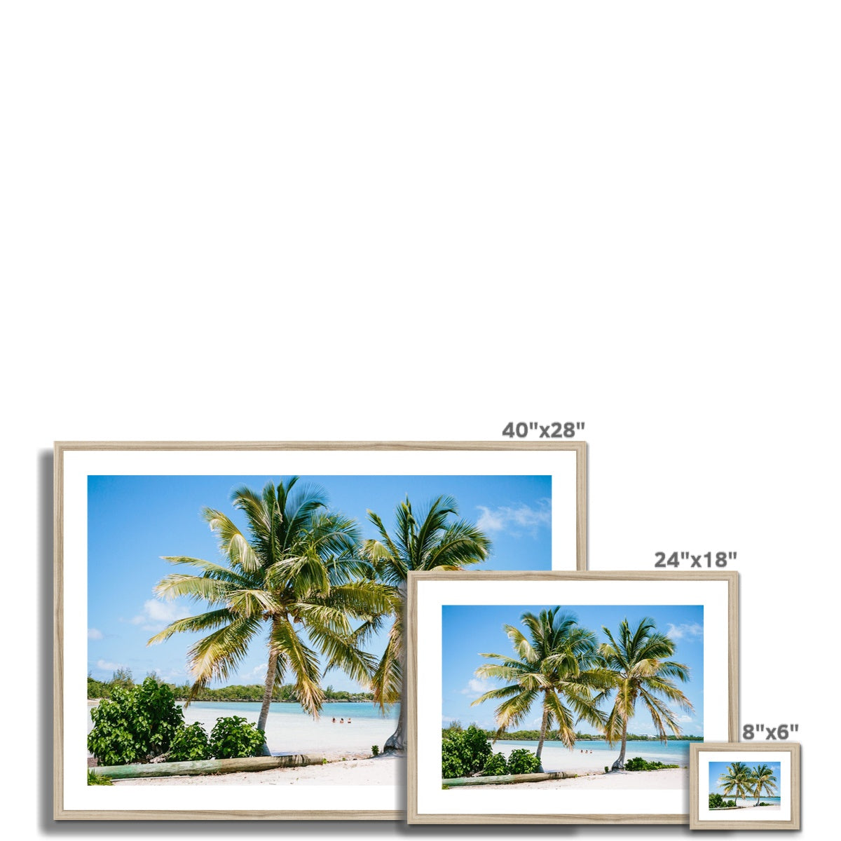 PALMS II Framed & Mounted Print