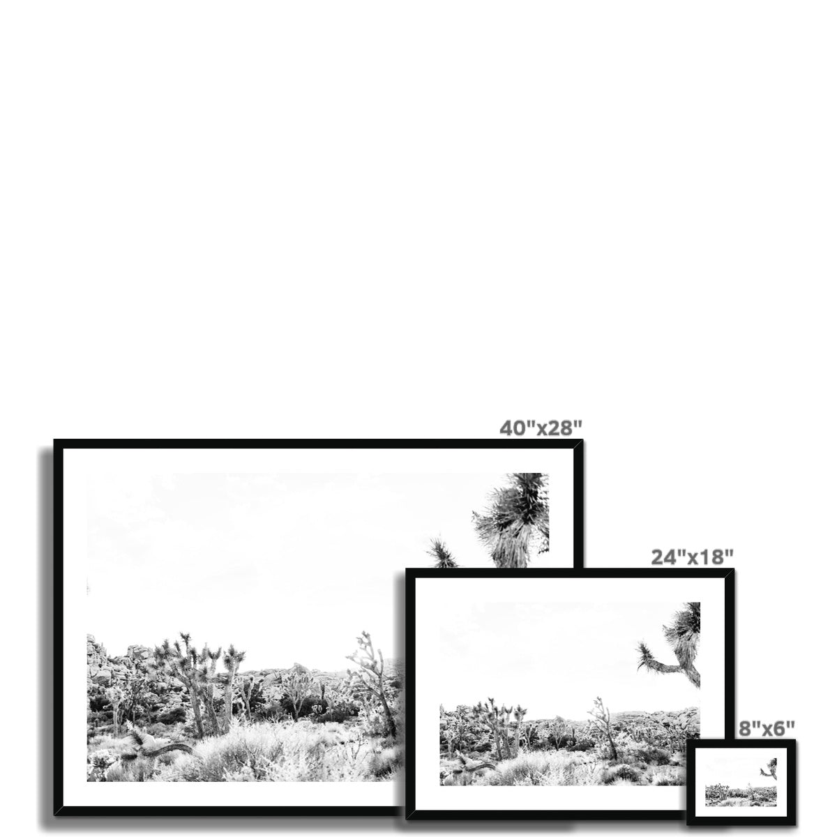 JOSHUA TREE II BW Framed & Mounted Print