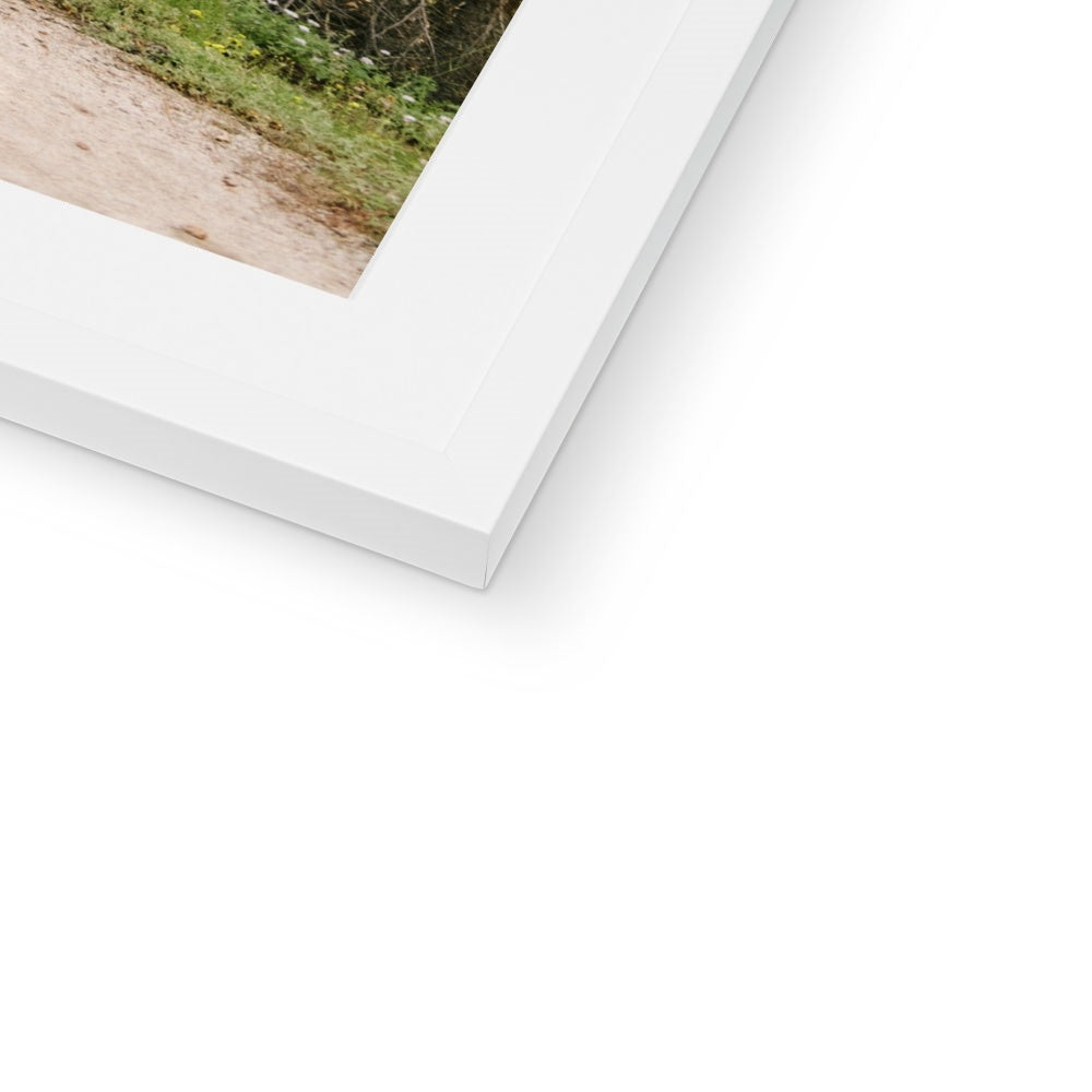 YOSEMITE FOREST Framed & Mounted Print
