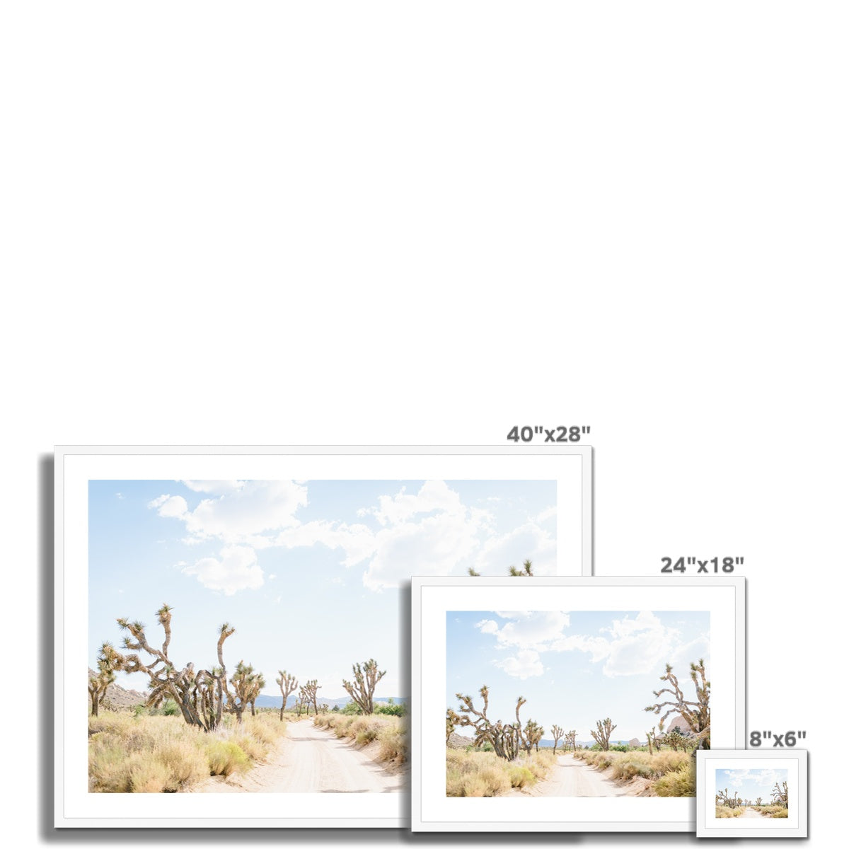 JOSHUA TREE ROAD Framed & Mounted Print