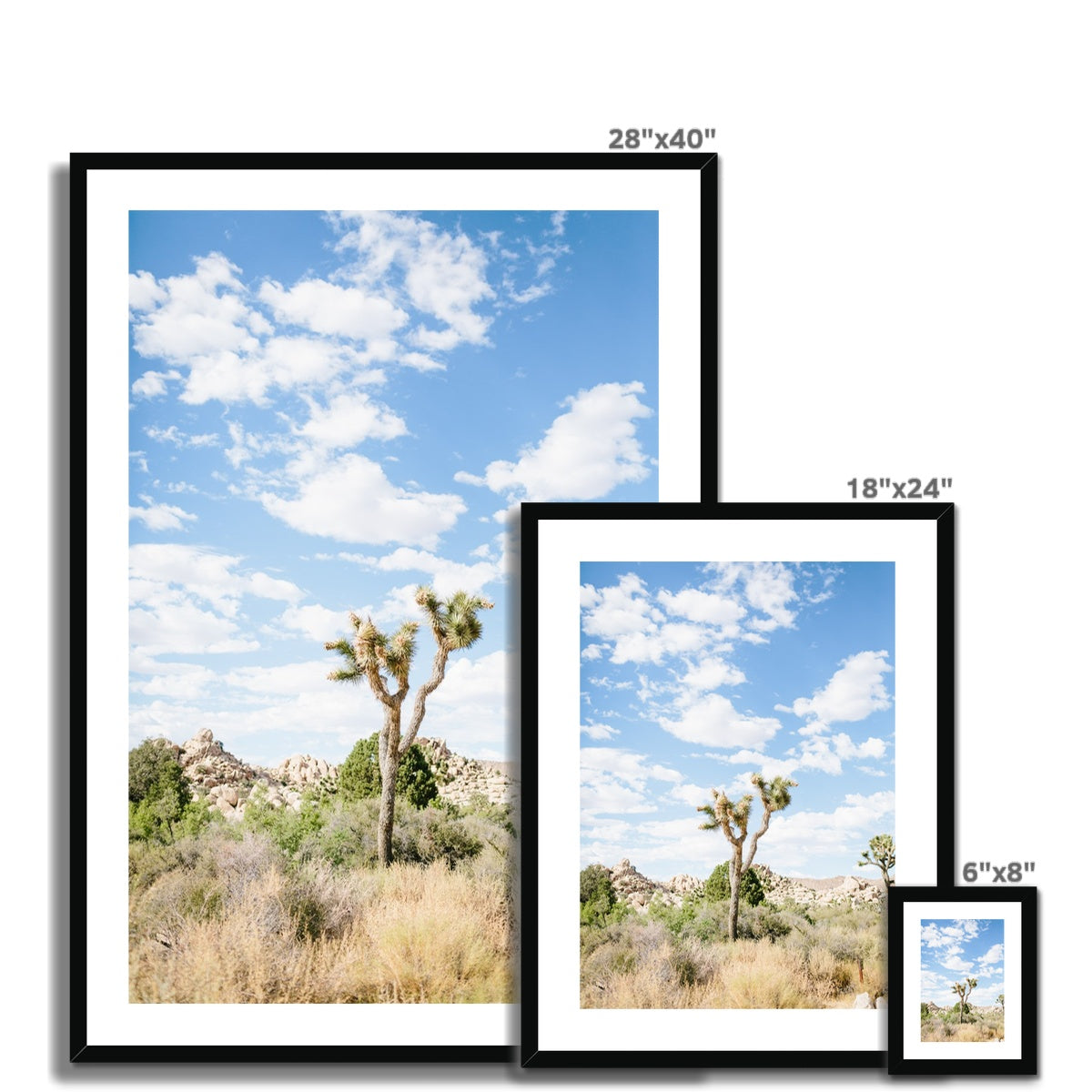 JOSHUA TREE III Framed & Mounted Print