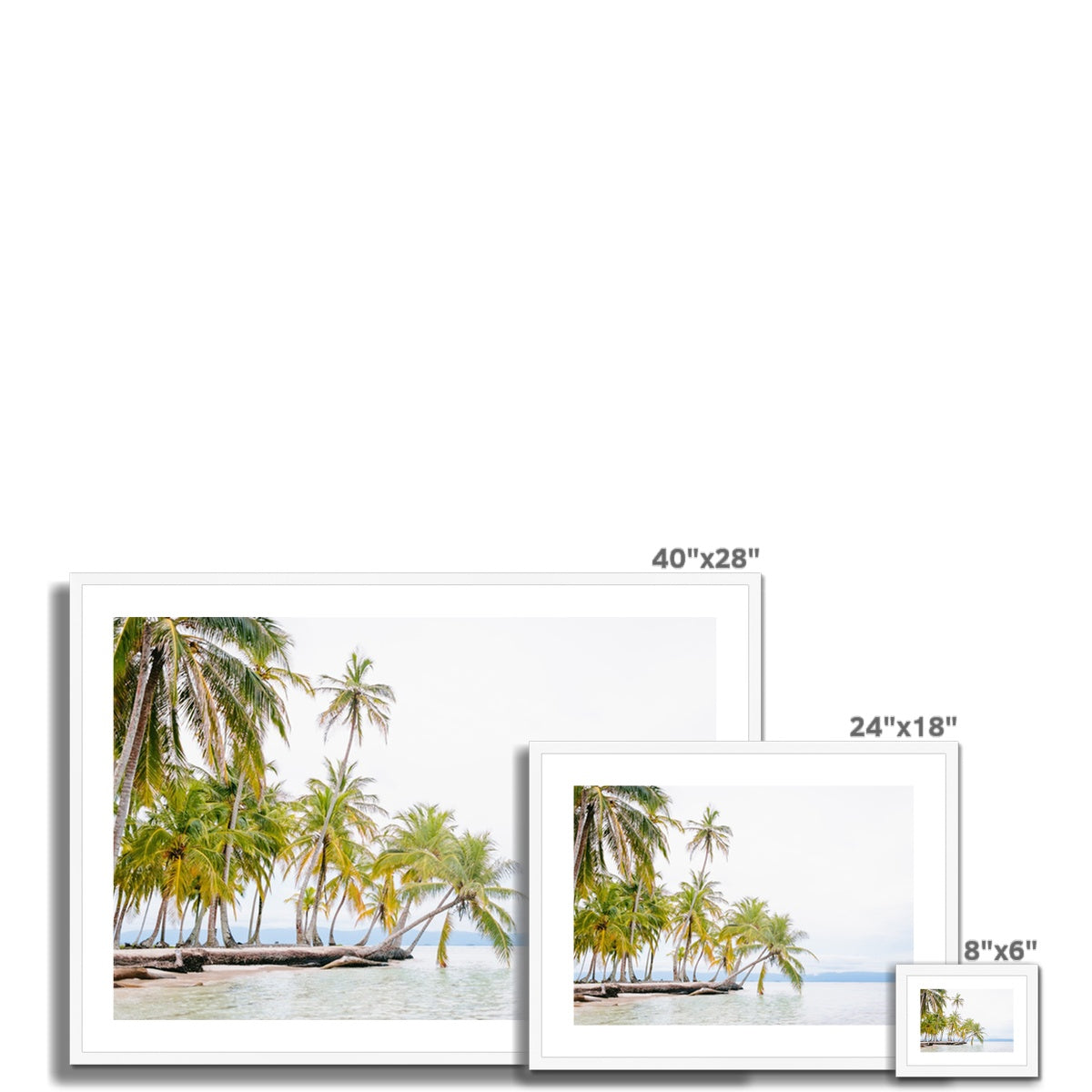 BENDING PALM Framed & Mounted Print