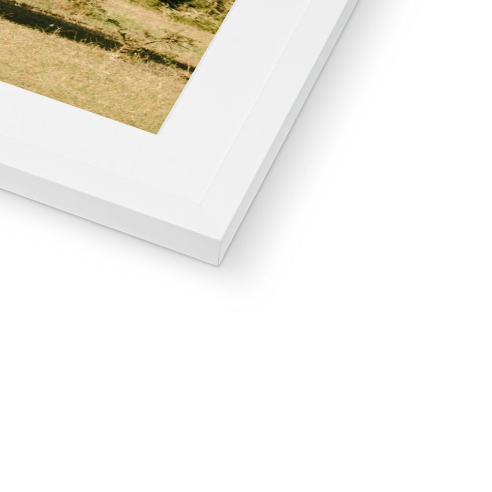 GIRAFFE SIGHTING Framed & Mounted Print