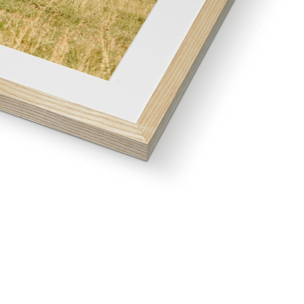 SAFARI LANDSCAPE Framed & Mounted Print