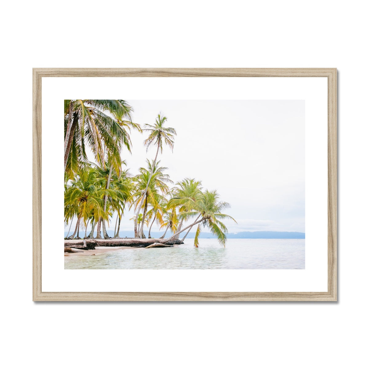 BENDING PALM Framed & Mounted Print