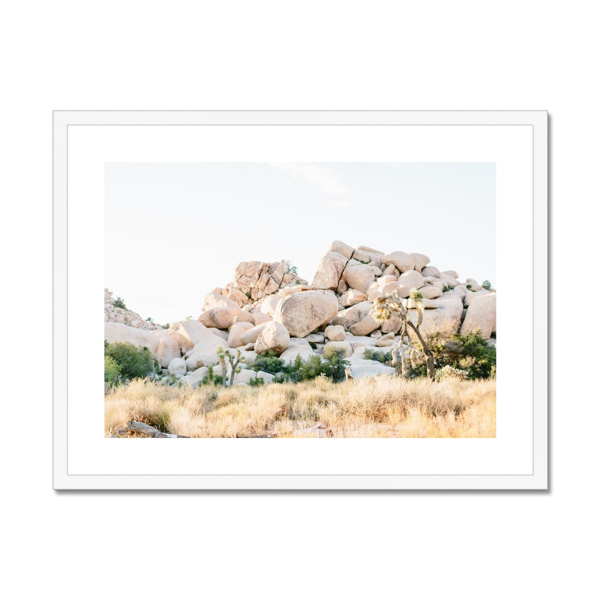 JOSHUA TREE X Framed & Mounted Print
