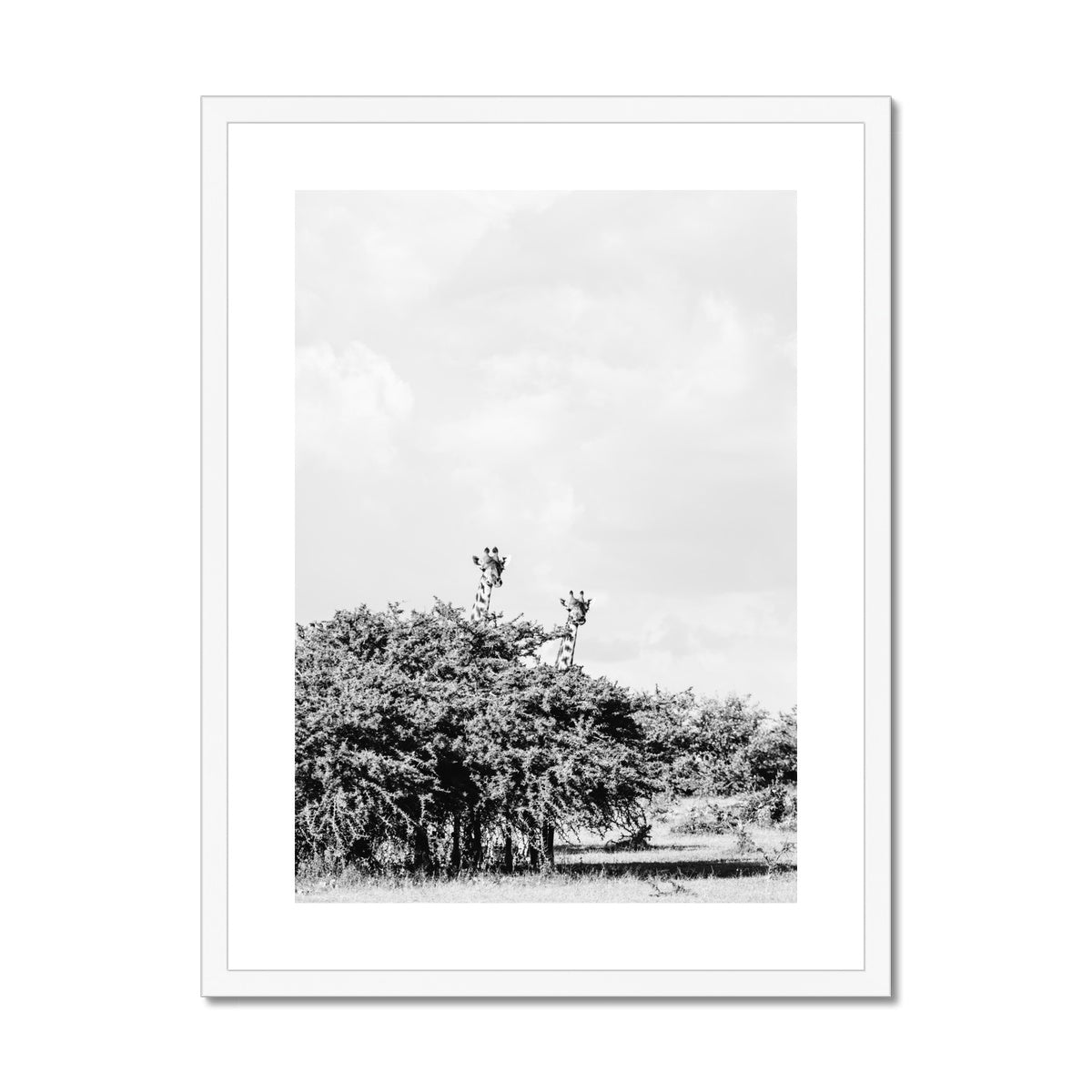 GIRAFFE SIGHTING BW Framed & Mounted Print