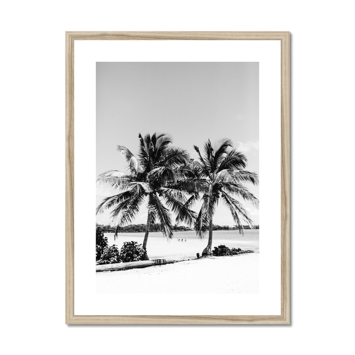 PALMS BW Framed & Mounted Print