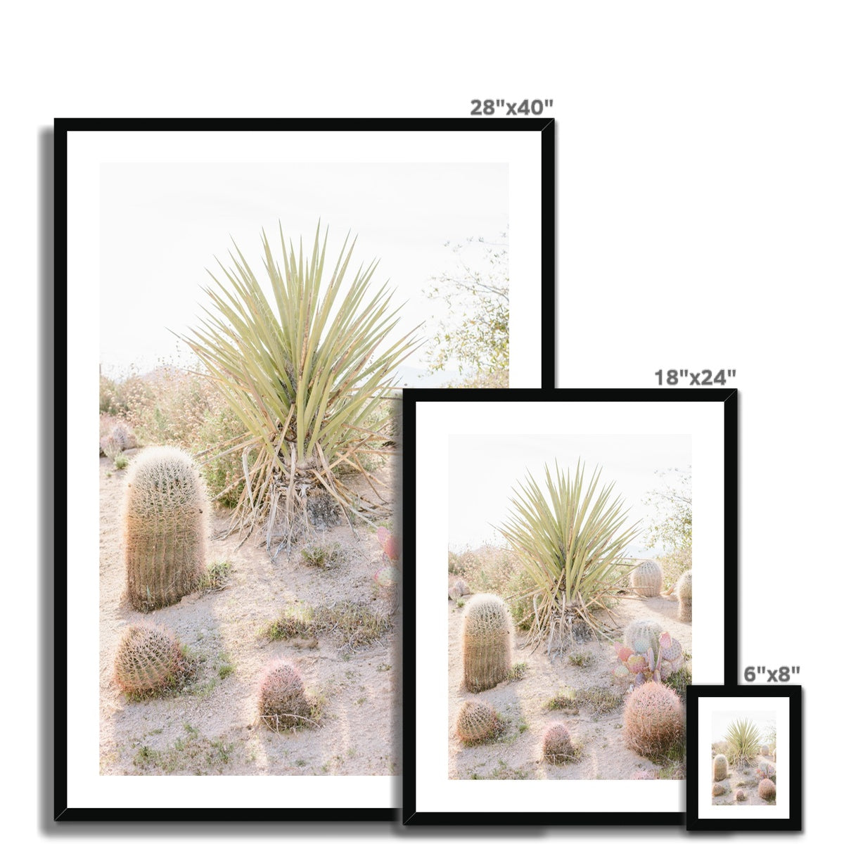CACTUS III Framed & Mounted Print