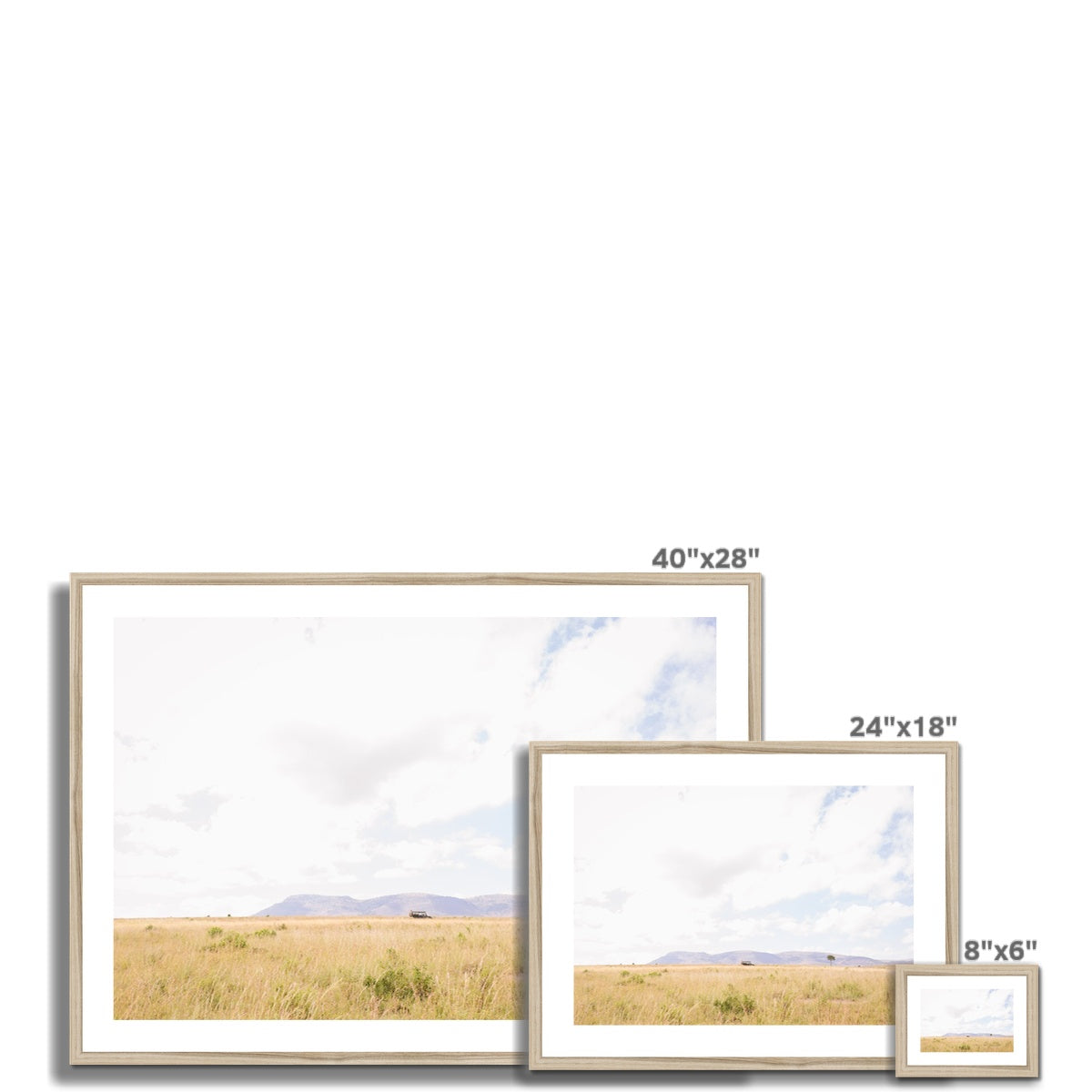 SAFARI LANDSCAPE Framed & Mounted Print
