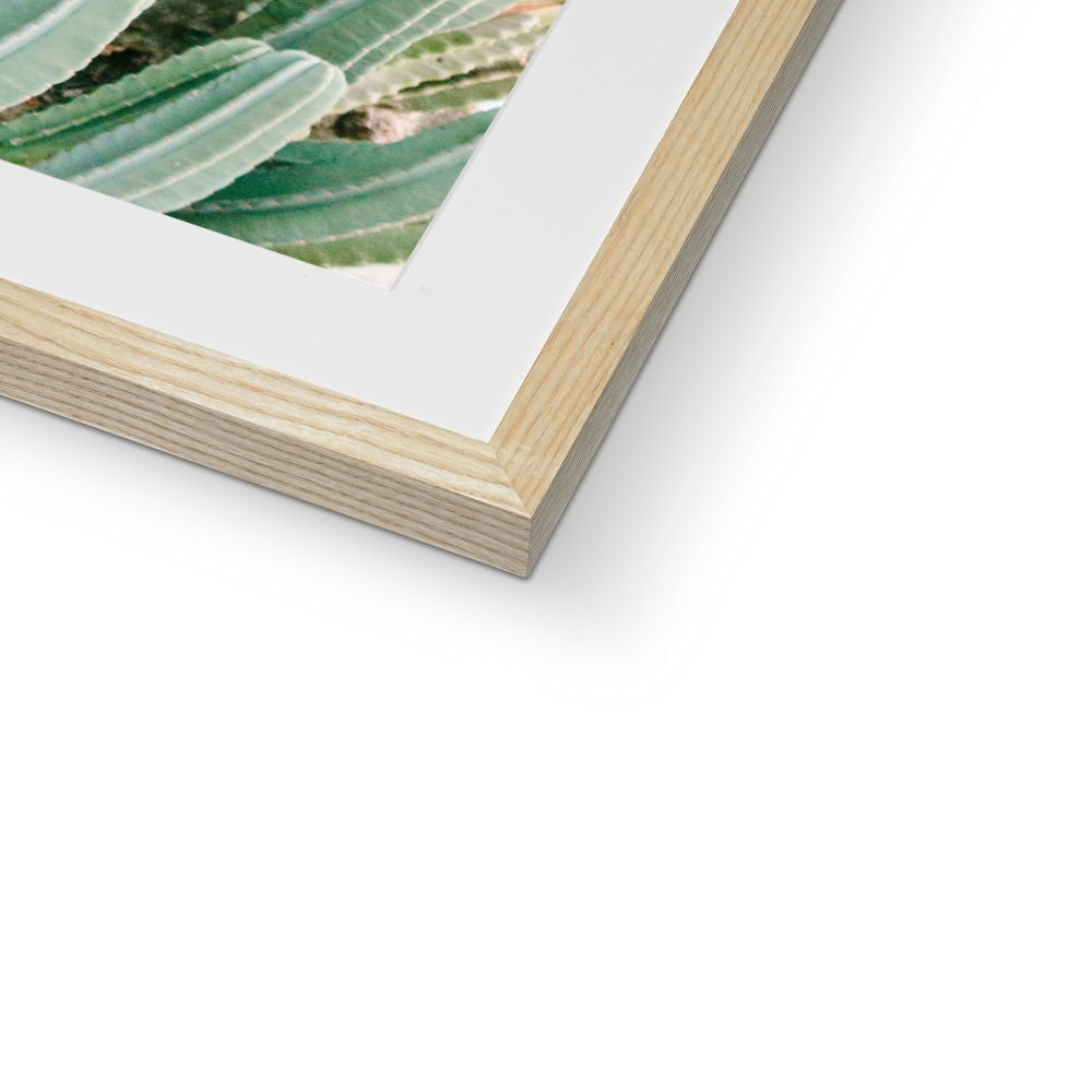 CACTUS IV Framed & Mounted Print