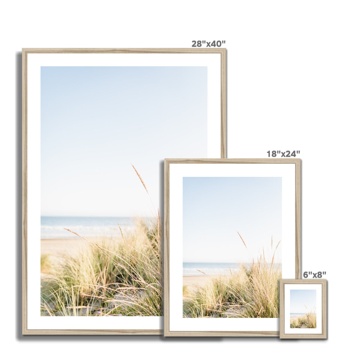 Sea Grass Framed & Mounted Print