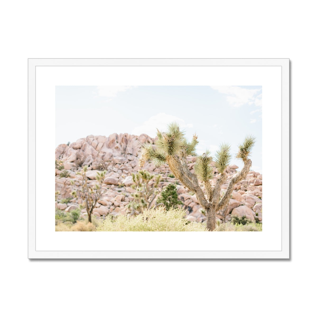 JOSHUA TREE VI Framed & Mounted Print
