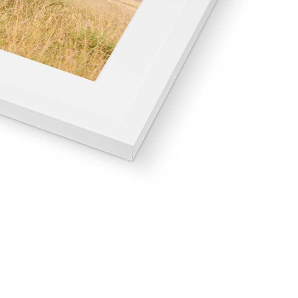 SAFARI LANDSCAPE Framed & Mounted Print
